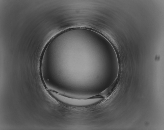X0000094430797200711211431