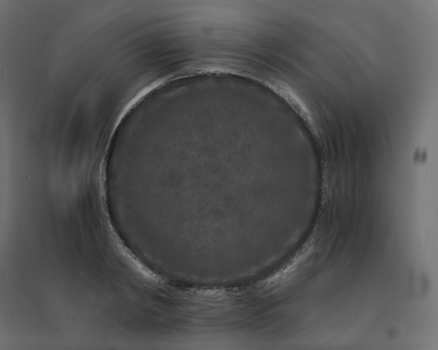 X0000094430798200711211431