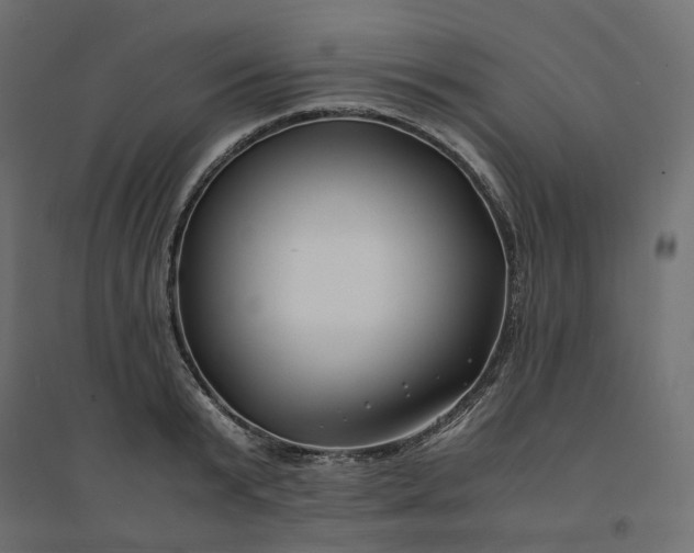 X0000094430799200711211431