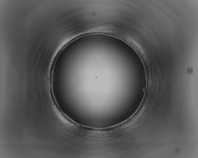 X0000094430800200711211431