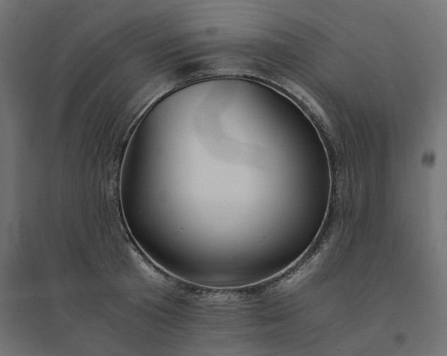 X0000094430801200711211431