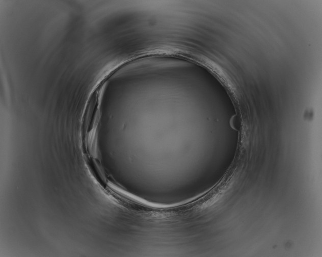 X0000094430802200711211431