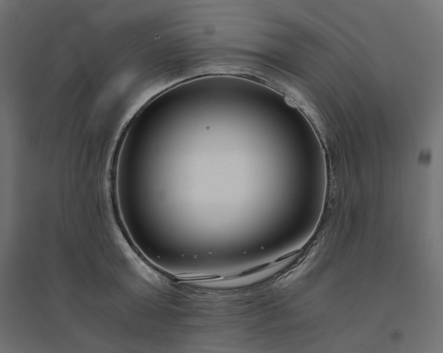 X0000094430803200711211431
