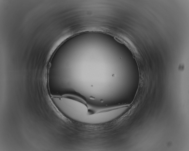 X0000094430804200711211431