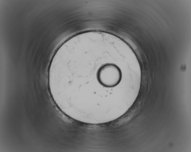 X0000094430807200711211431