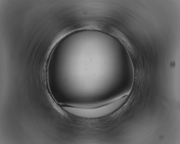 X0000094430808200711211431
