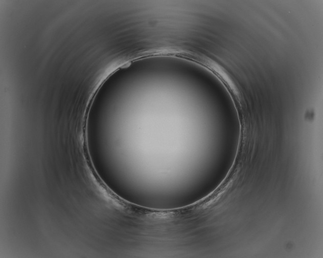 X0000094430810200711211431