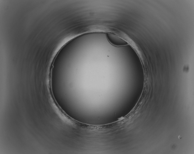 X0000094430811200711211431
