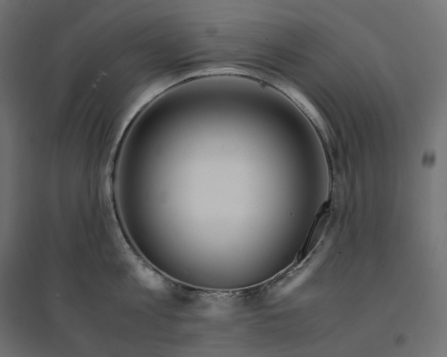 X0000094430813200711211431