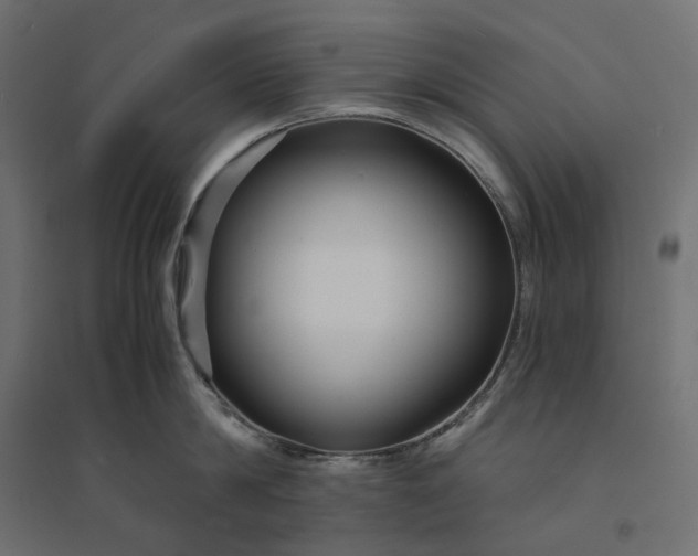 X0000094430814200711211431