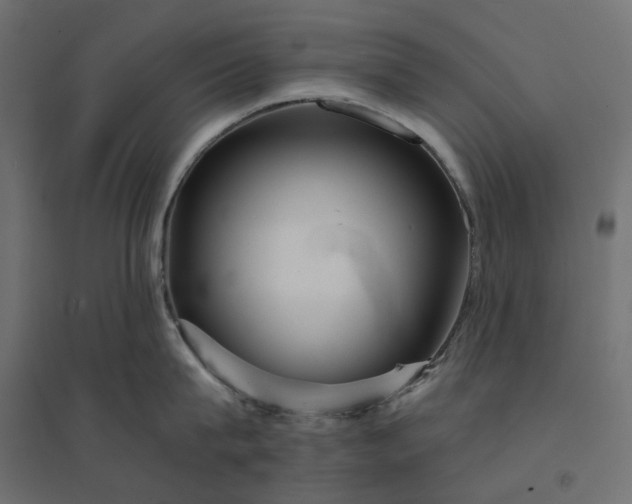 X0000094430815200711211431