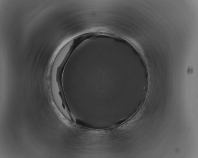 X0000094430816200711211431