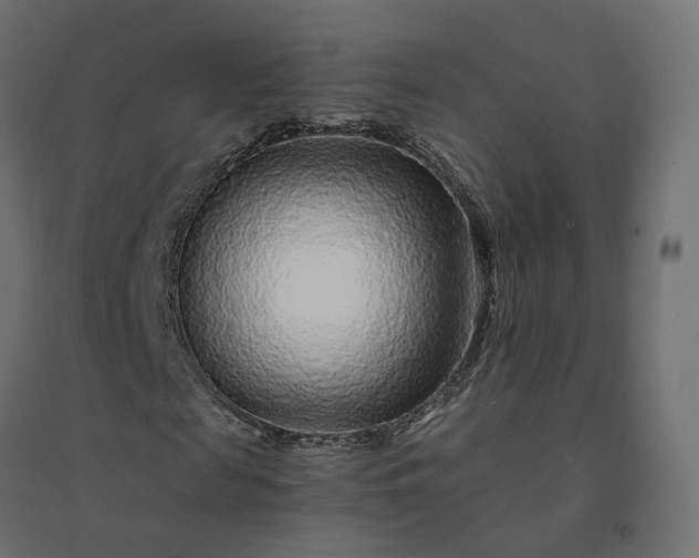 X0000094430817200711211430