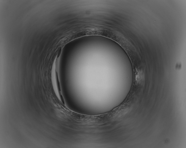 X0000094430819200711211430