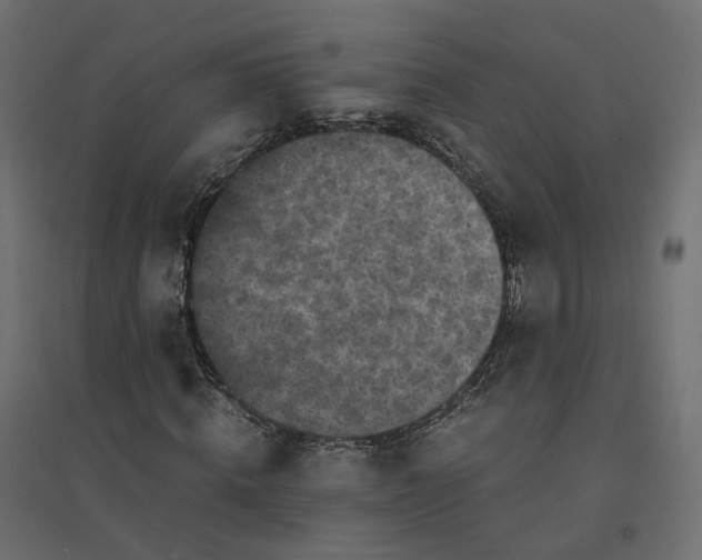 X0000094430820200711211430