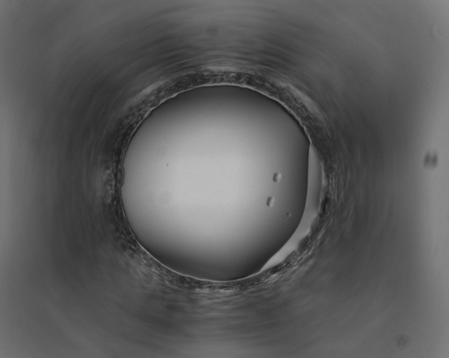 X0000094430821200711211430