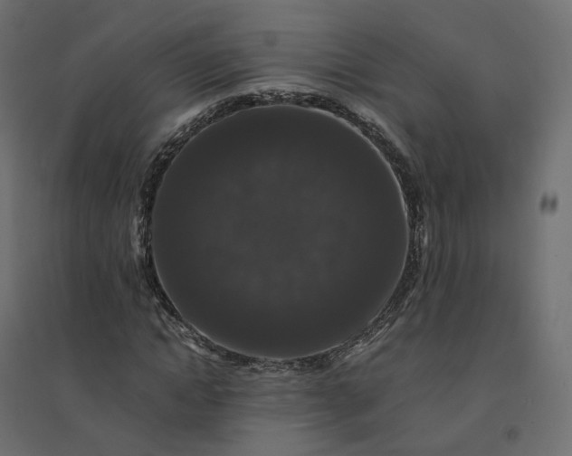 X0000094430822200711211430