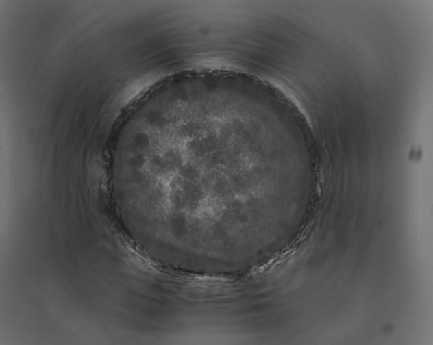 X0000094430823200711211430