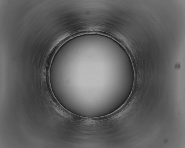 X0000094430827200711211430
