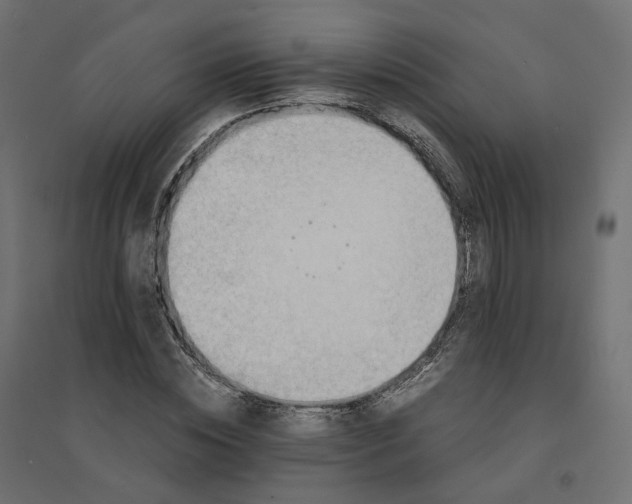 X0000094430828200711211430