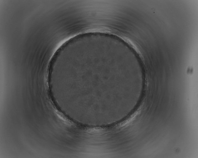 X0000094430830200711211430