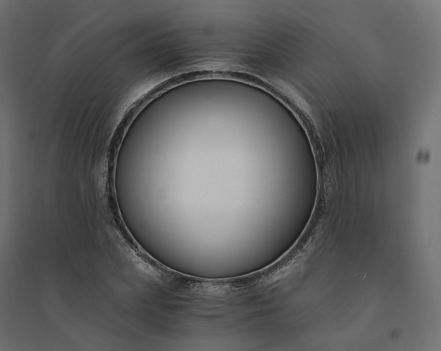 X0000094430831200711211430