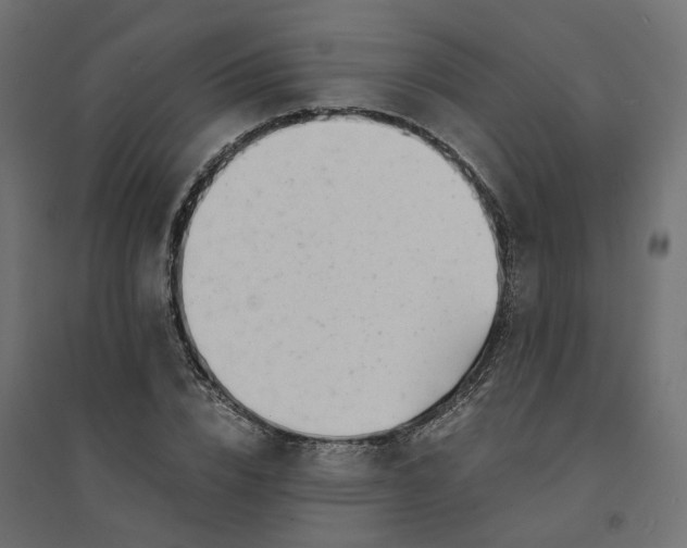 X0000094430832200711211430