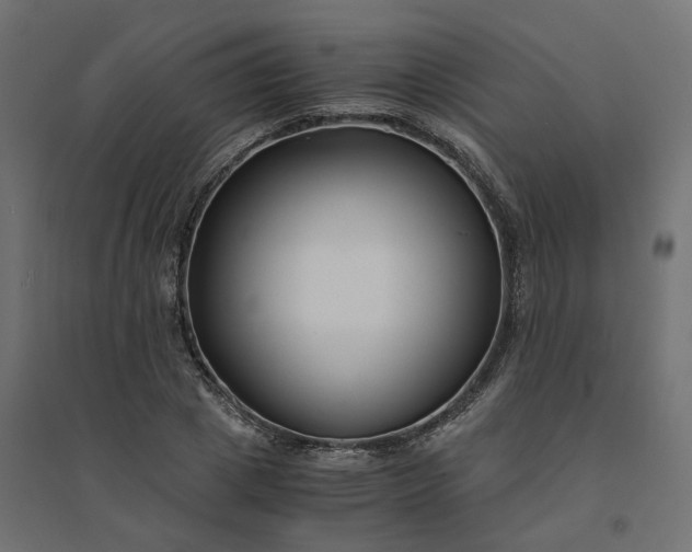 X0000094430833200711211430