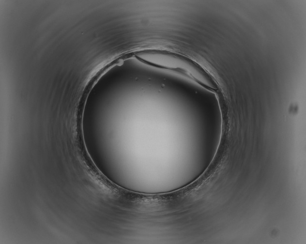 X0000094430834200711211431