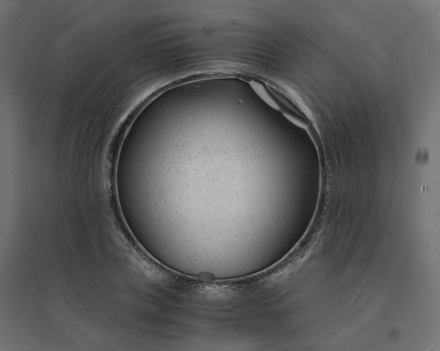 X0000094430835200711211431