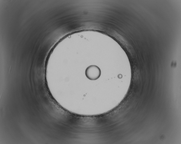 X0000094430836200711211431