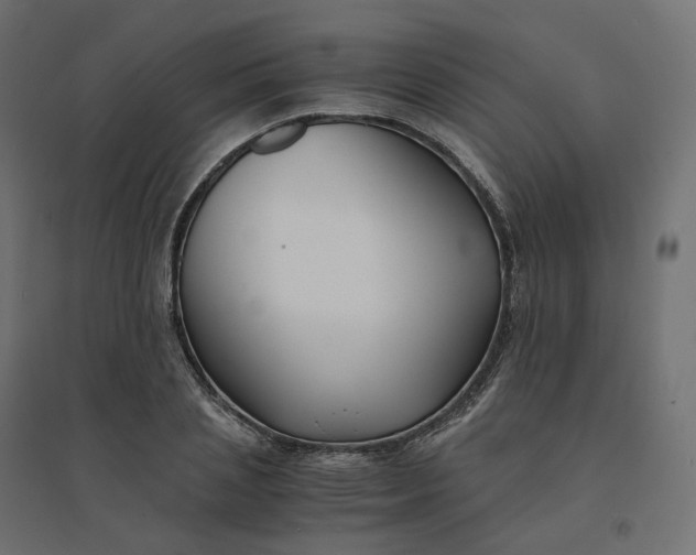 X0000094430837200711211431