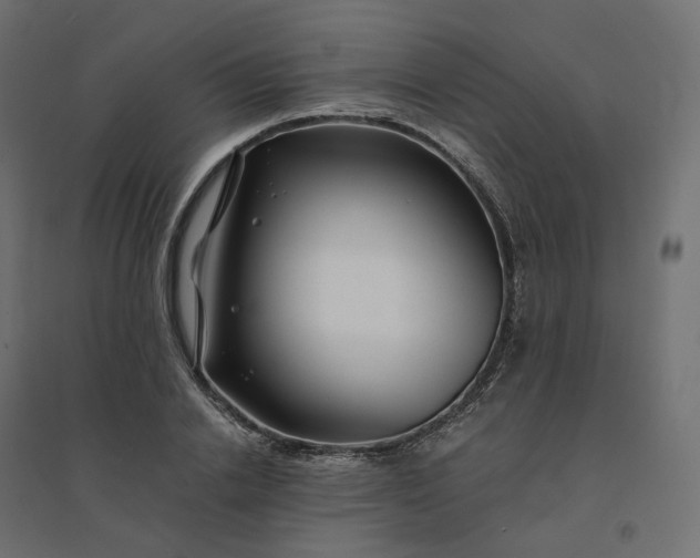 X0000094430838200711211431