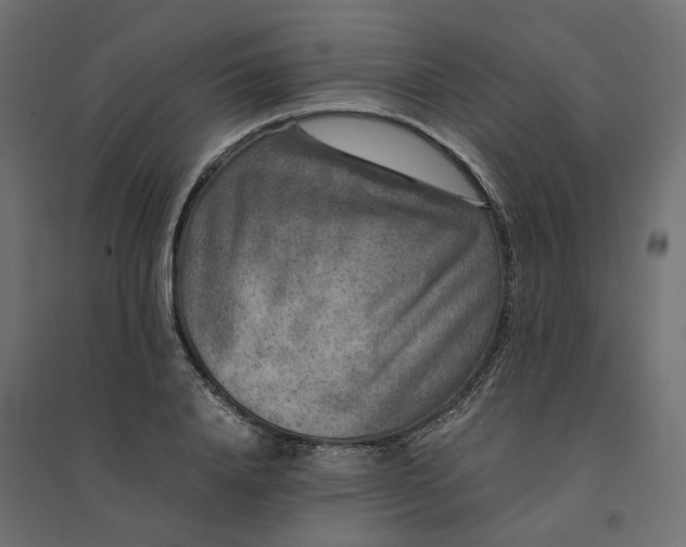 X0000094430840200711211431