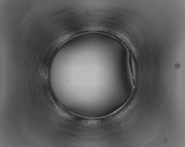 X0000094430841200711211431