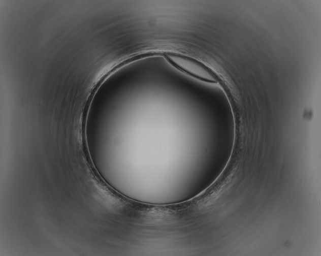 X0000094430842200711211431
