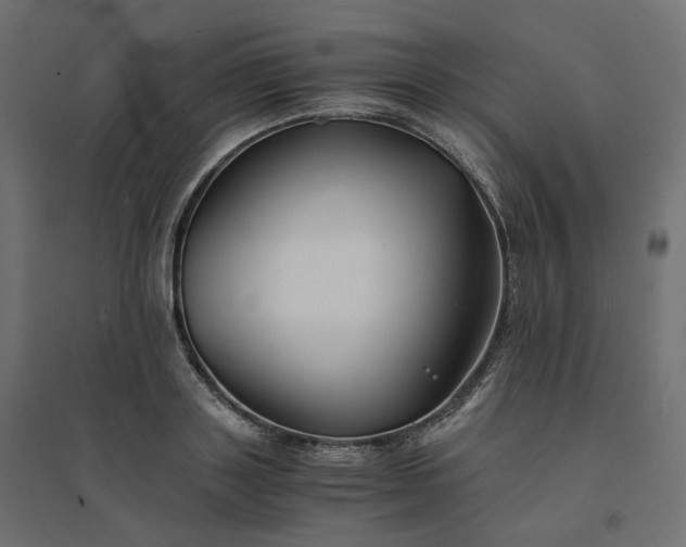 X0000094430843200711211431