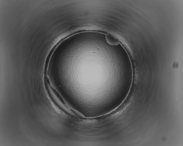 X0000094430845200711211431