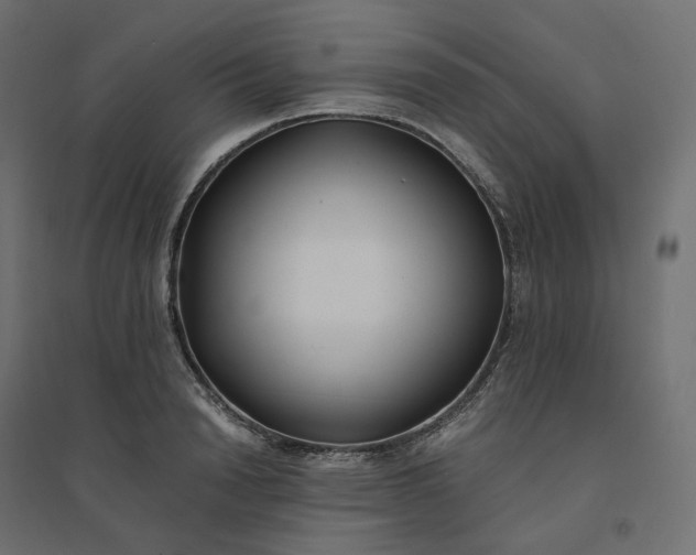 X0000094430846200711211431