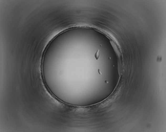 X0000094430847200711211431