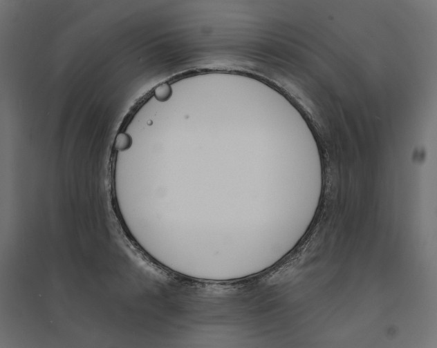 X0000094430848200711211431