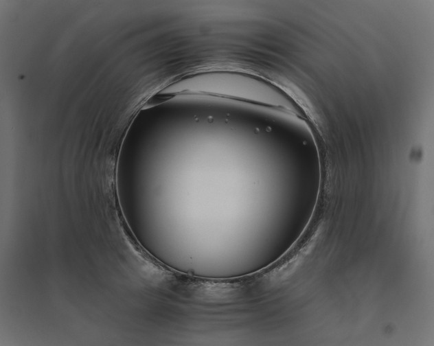 X0000094430849200711211431