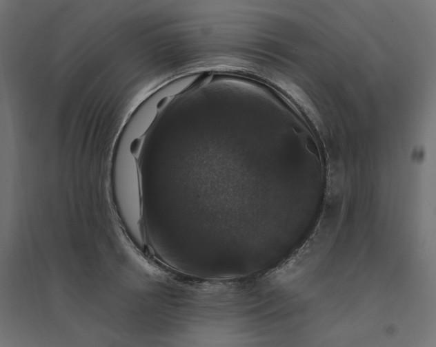 X0000094430850200711211431