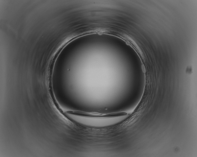 X0000094430851200711211431