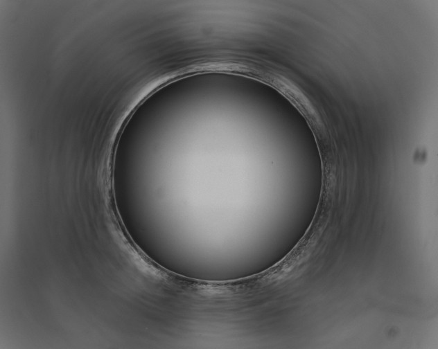 X0000094430852200711211431