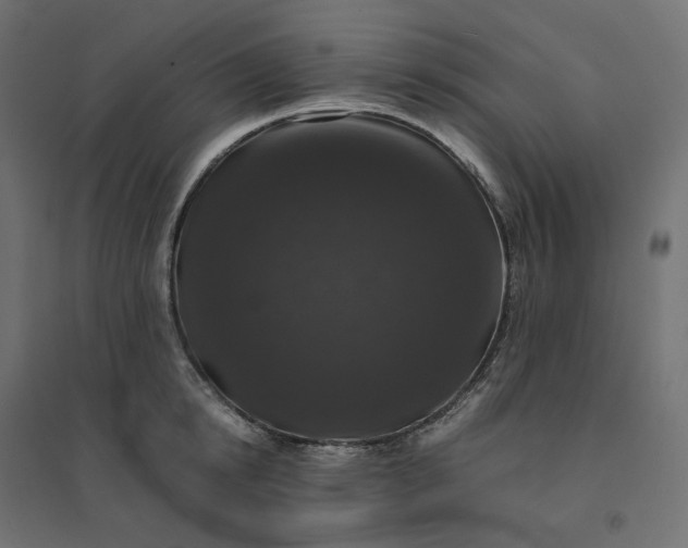 X0000094430854200711211431