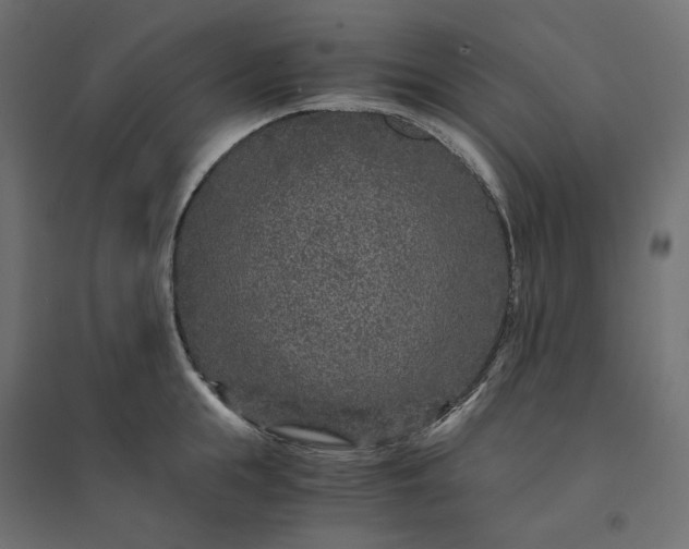 X0000094430855200711211431