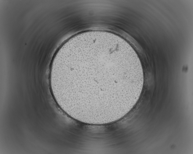 X0000094430856200711211431