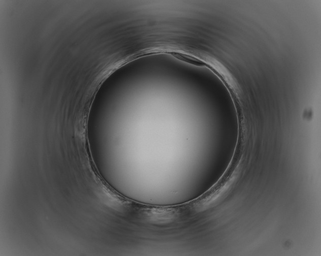 X0000094430857200711211431