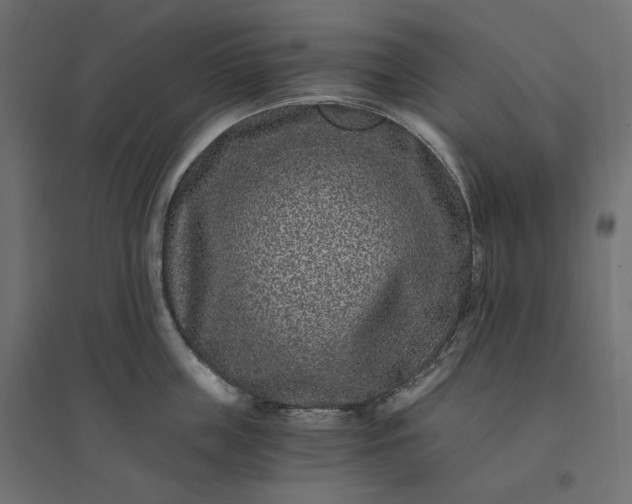 X0000094430859200711211431